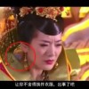 摇头摆尾生肖中指什么动物